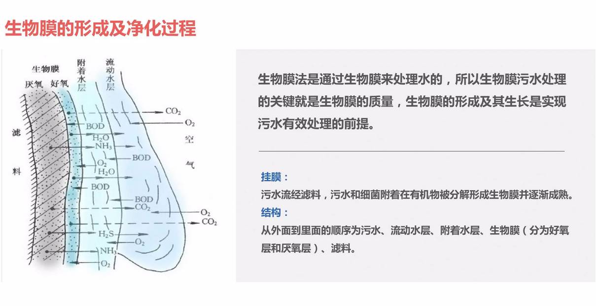 科力迩